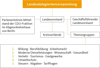 Die Organisation der Landes-MIT